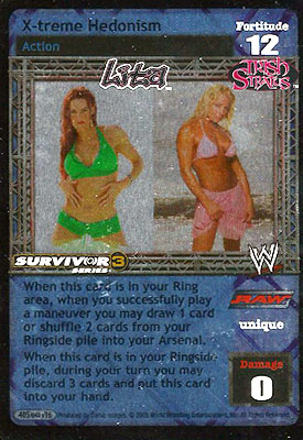 Survivor Series 3