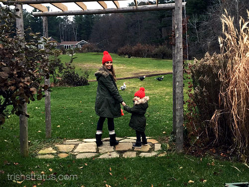 Max Visits Pine Farms