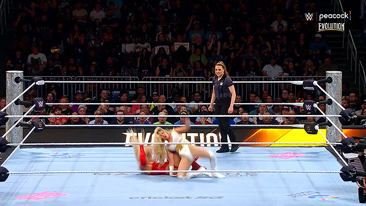 ppv25 210