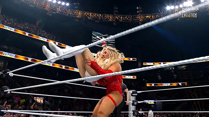 ppv25 229