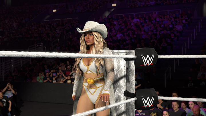 wwe26game26