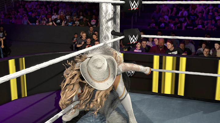 wwe26game27