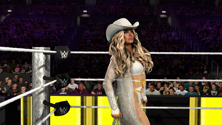 wwe26game28