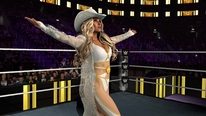 wwe26game29