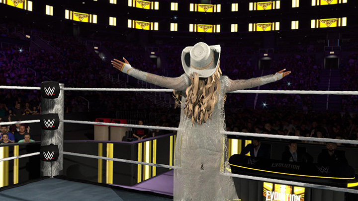 wwe26game35